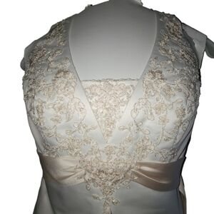 Size 16 Davids Bridal Wedding dress